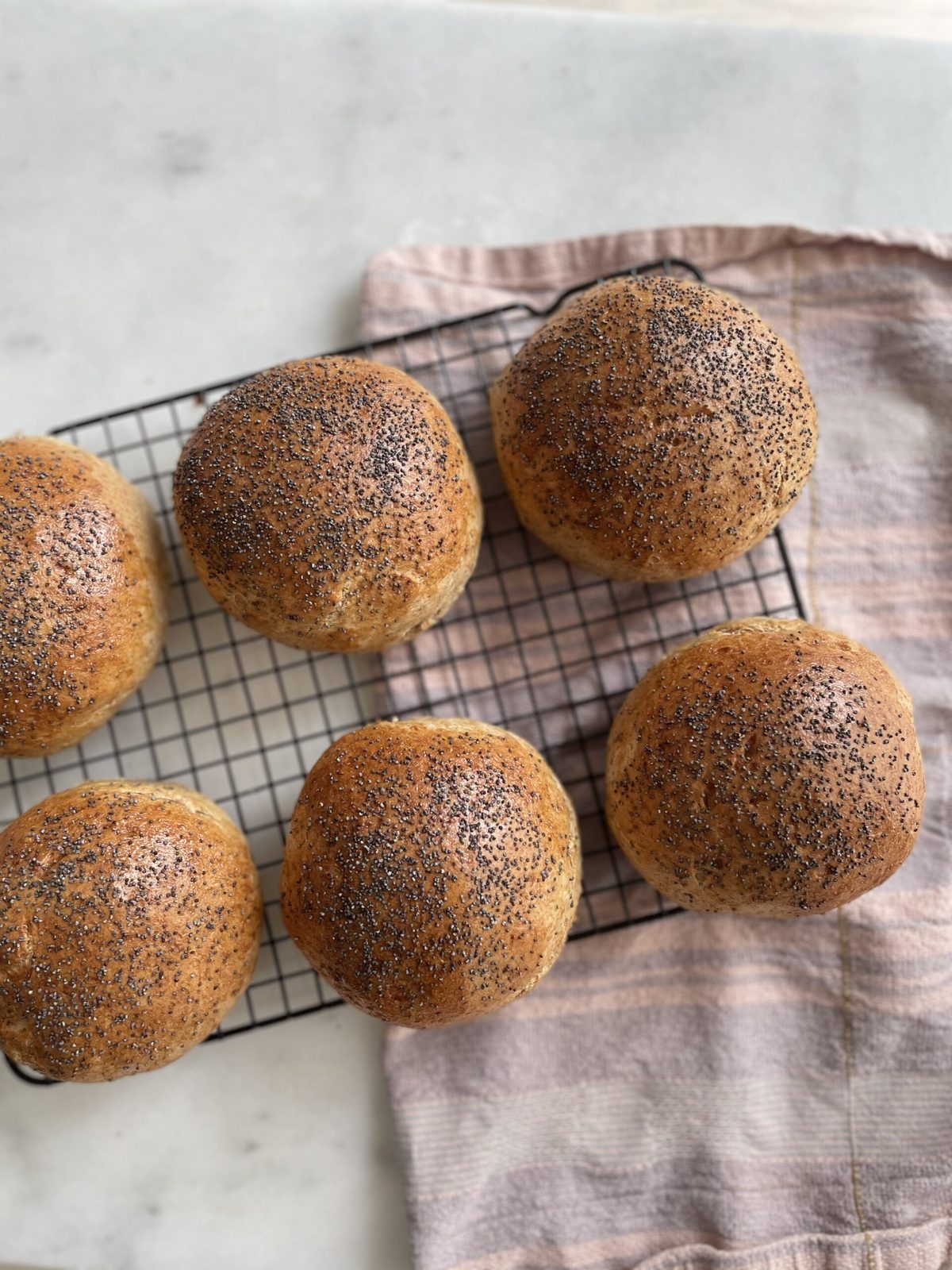 Fuldkorns Burgerboller