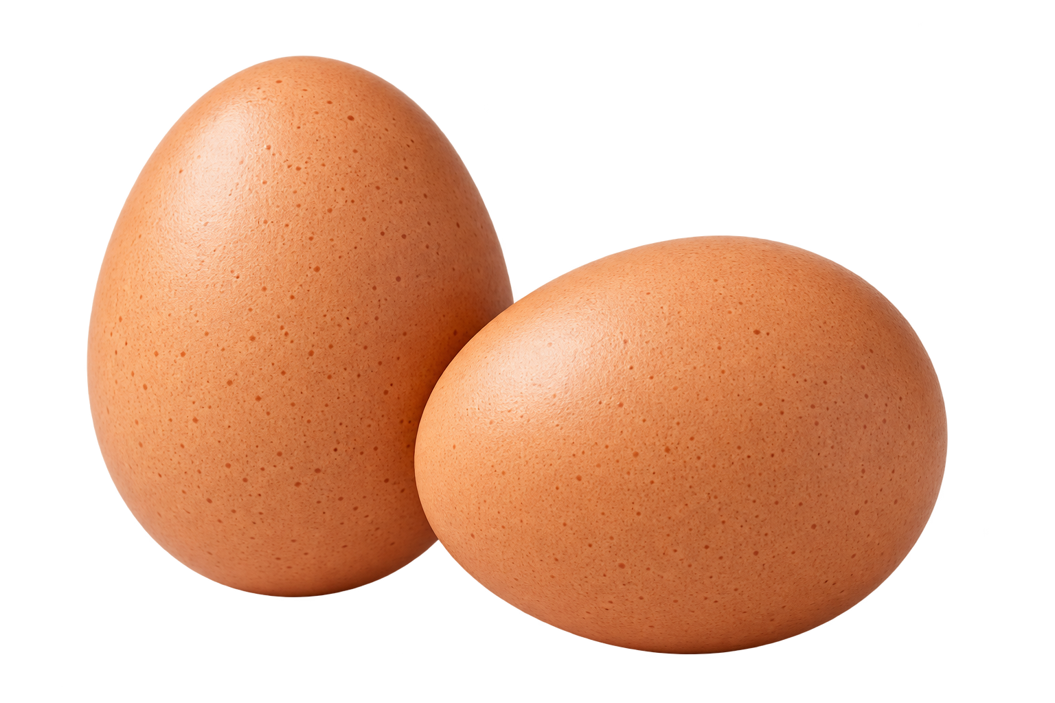 æg