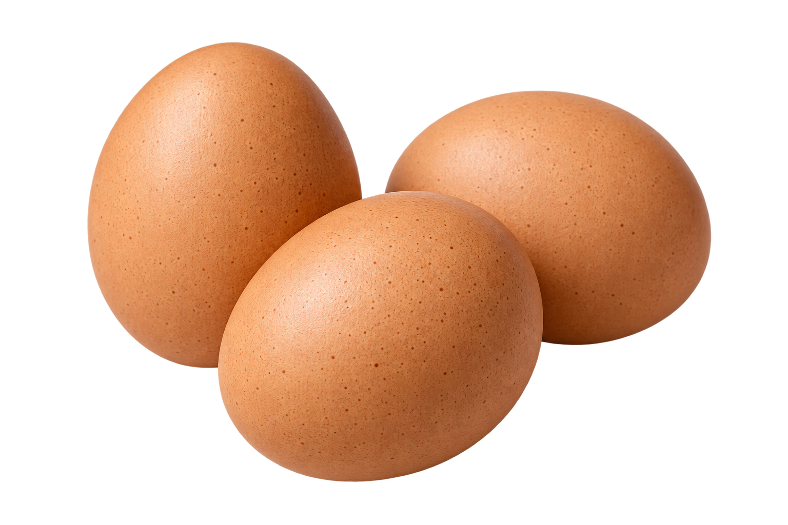 æg