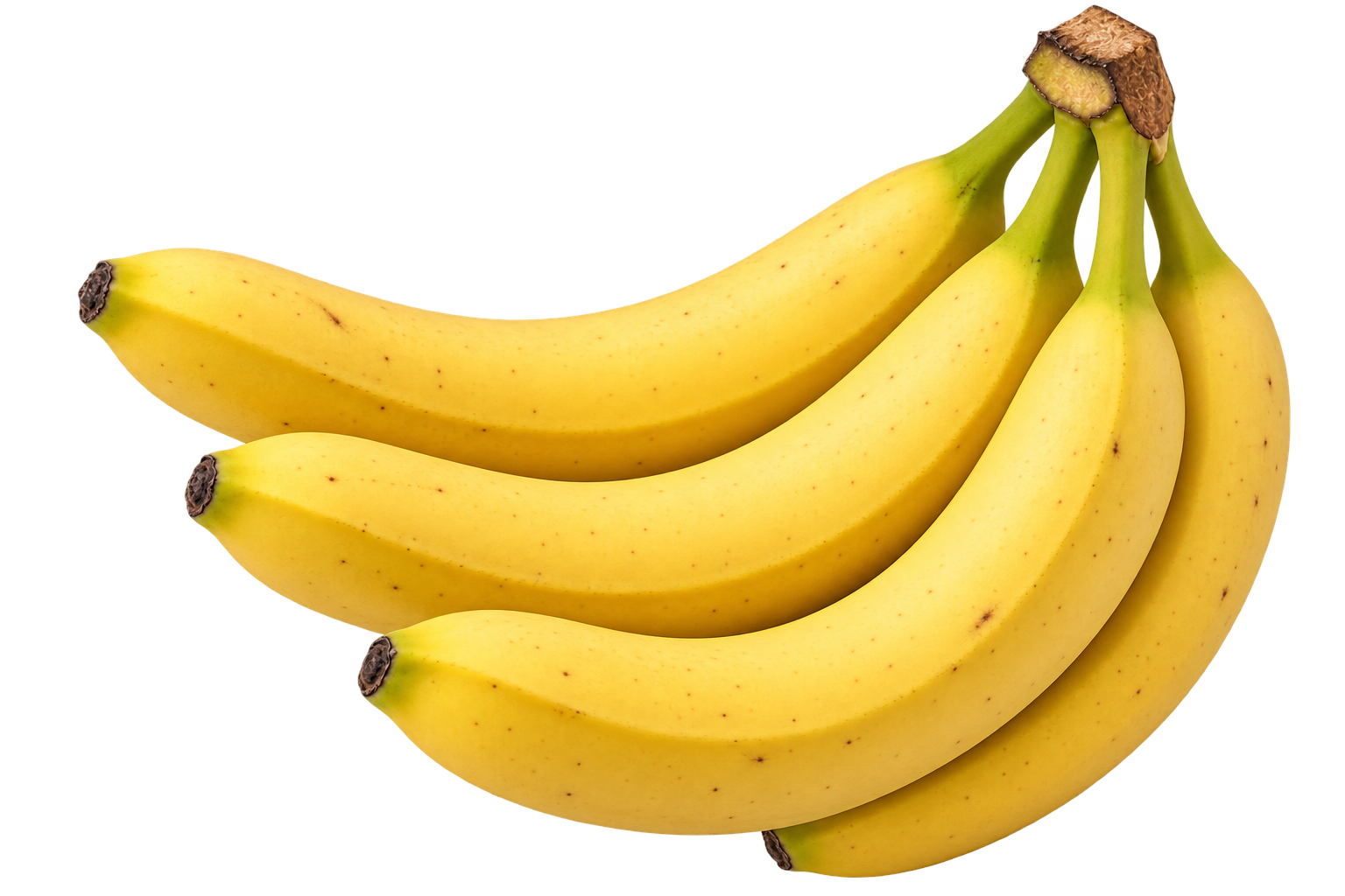 modne bananer