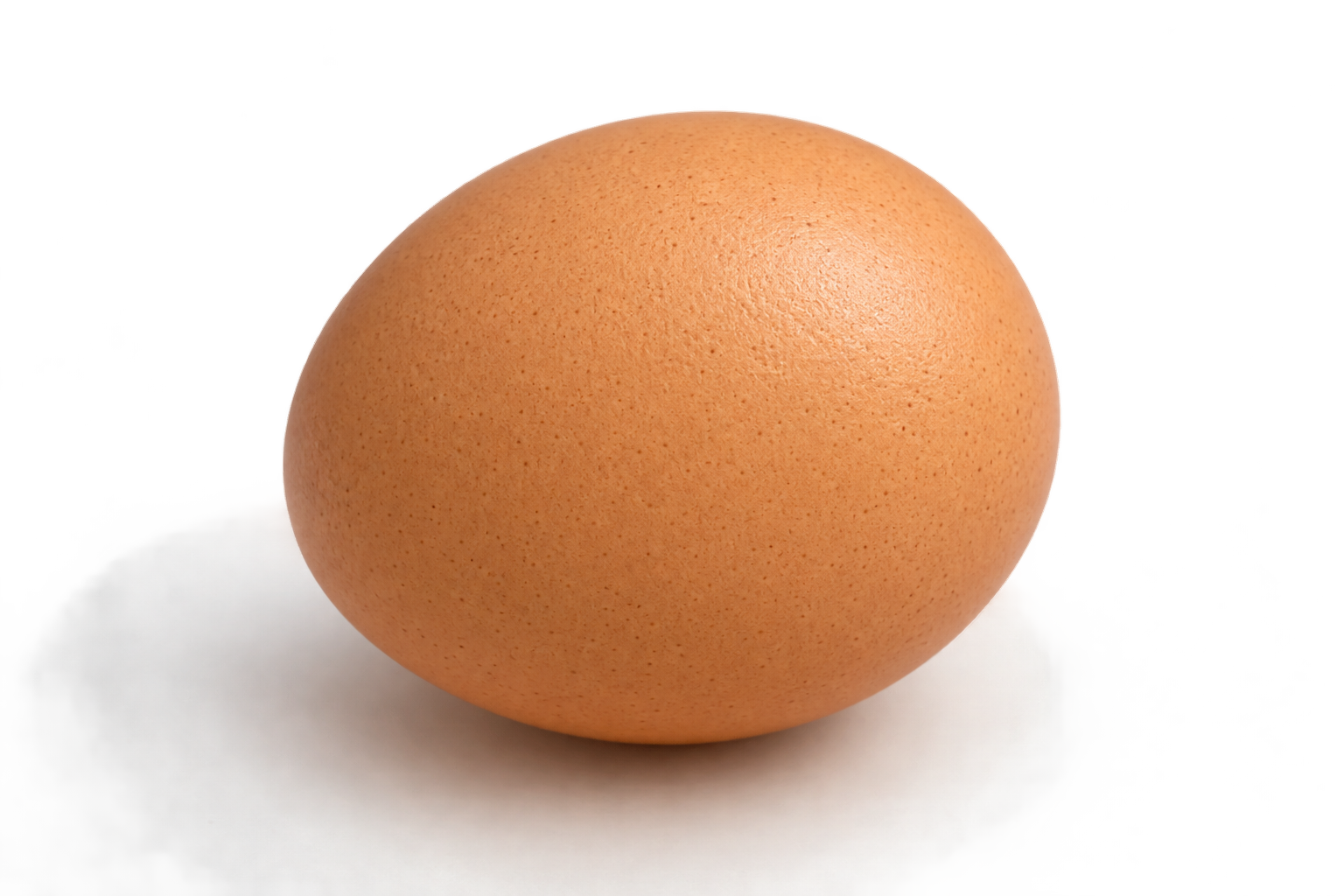 æg