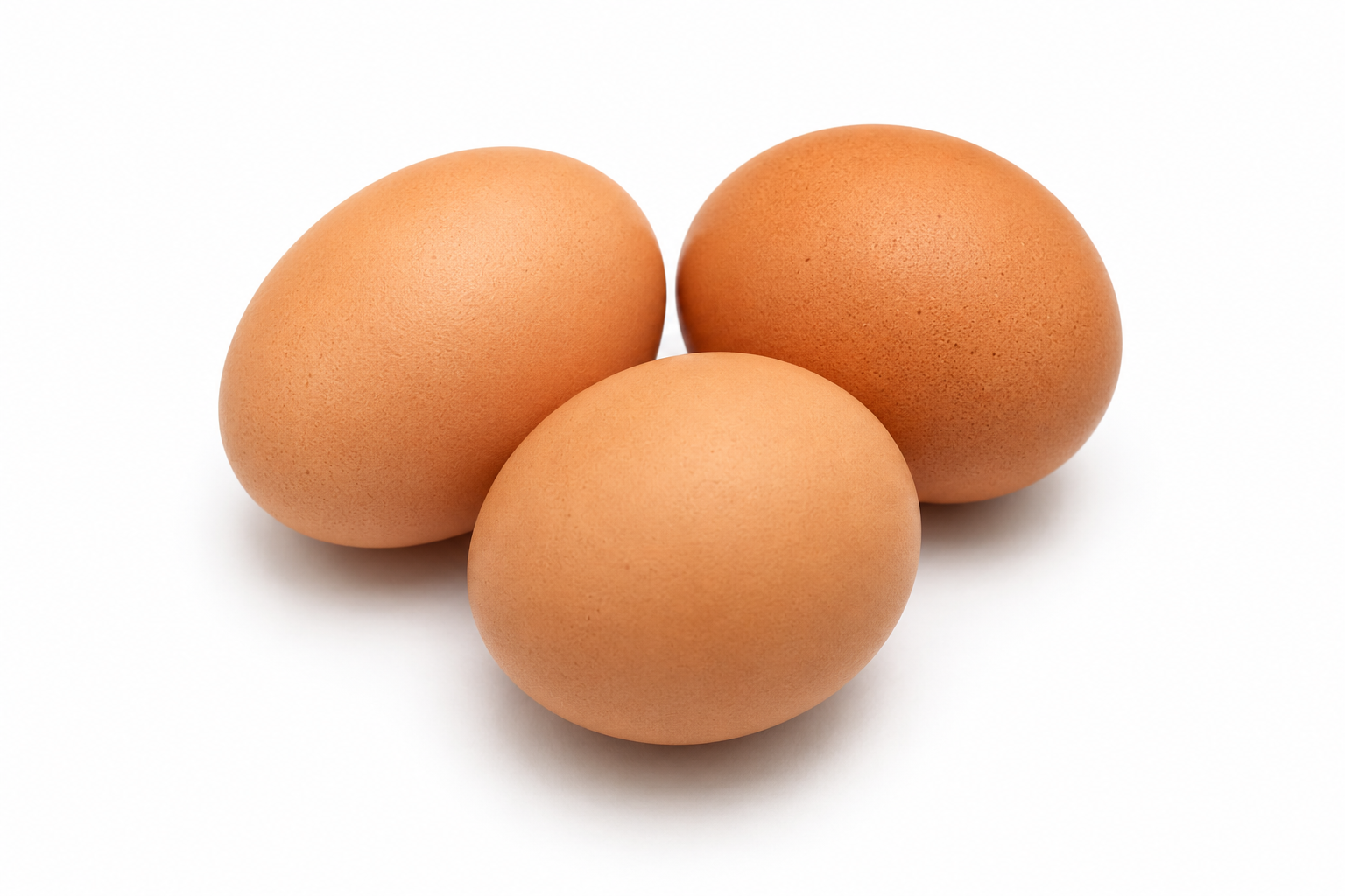 æg